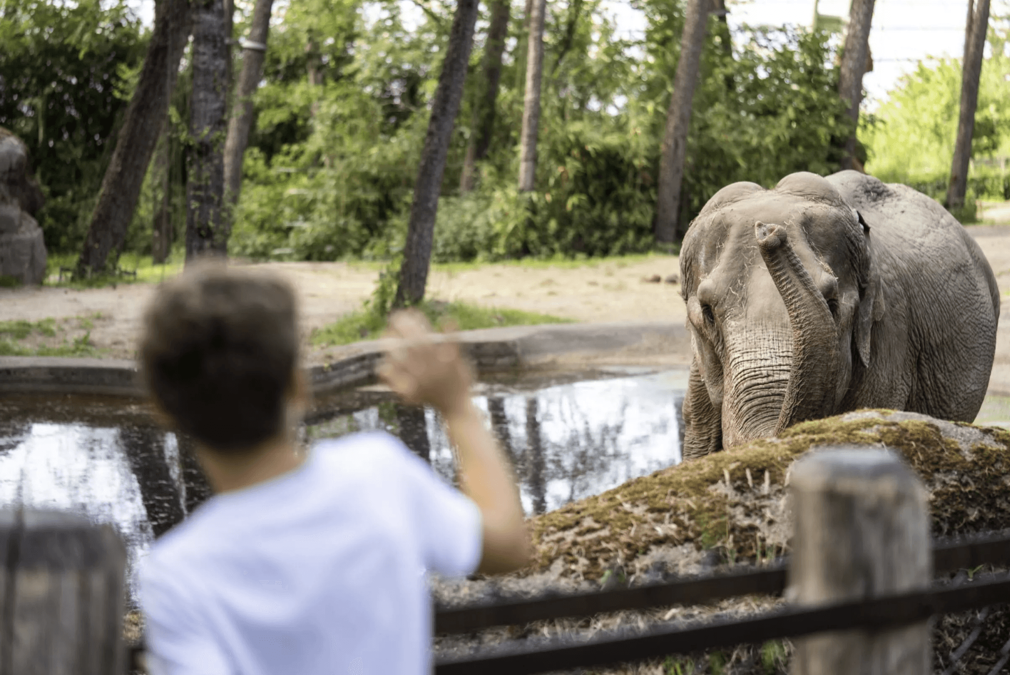 Burgers' Zoo Vriendenkorting